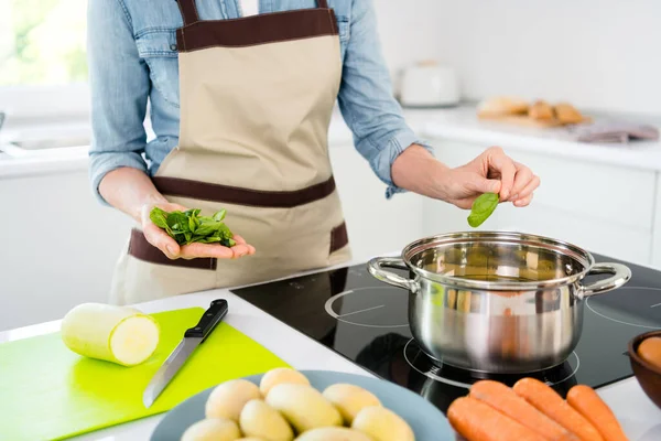 Foto ritagliata di signora matura cuoco zuppa indossare jeans grembiule camicia in cucina da solo — Foto Stock