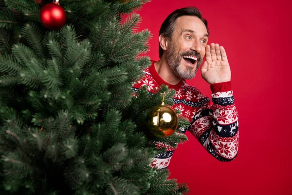 Foto ritratto nonno nascosto dietro decorato albero di Natale gridando notizie isolato luminoso colore rosso sfondo — Foto Stock