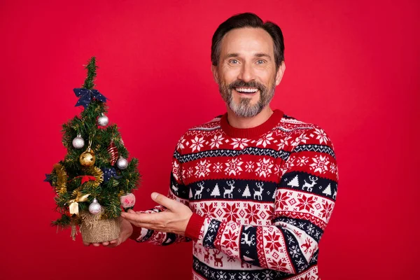 Foto ritratto uomo stupito mostrando piccolo albero di Natale decorato in vacanze isolato vibrante colore rosso sfondo — Foto Stock