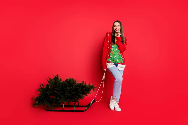 Foto di dolce ingannevole signora indossare maglione ornamento portando slitte albero di Natale cercando spazio vuoto isolato colore rosso sfondo — Foto Stock