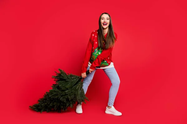 Foto de impressionado engraçado jovem vestido pulôver feio sorrindo segurando árvore de natal isolado fundo cor vermelha — Fotografia de Stock