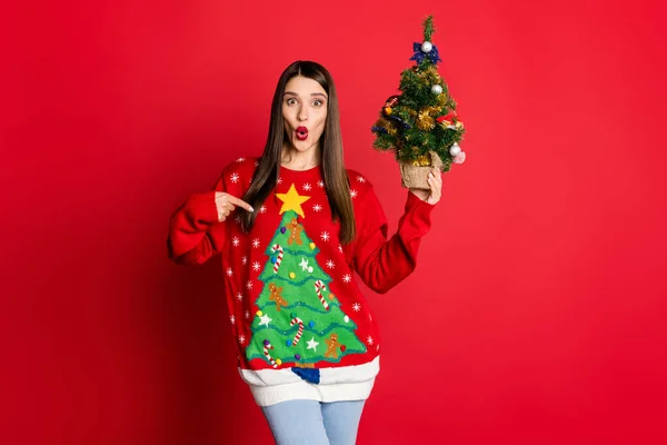 Foto di eccitato signora tenere albero sempreverde diretto dito maglione ornamento confrontare isolato su sfondo di colore rosso — Foto Stock