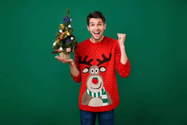 Photo of young excited man happy positive smile hold little evergreen tree rejoice celebrate isolated over green color background — Stock Photo, Image