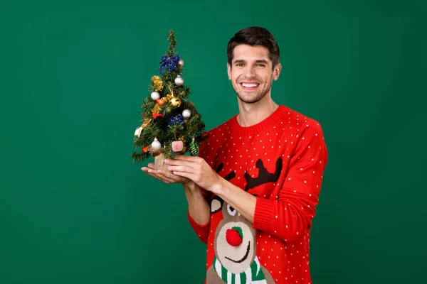 Portrait of attractive cheerful guy holding in hands small fir tree winter eve isolated over green color background — Stock Photo, Image