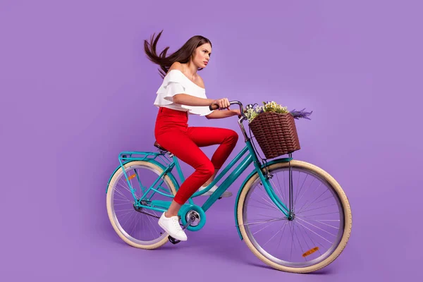 Perfil foto de tenso confiante senhora drive bicicleta desgaste branco blusa calças isolado violeta cor de fundo — Fotografia de Stock