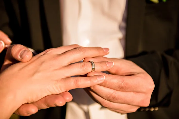 Hands of the bride and groom — Stock Photo, Image