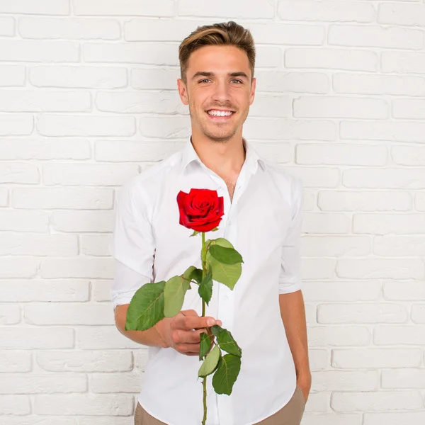 Romantic man gives a red rose — Stock Photo, Image