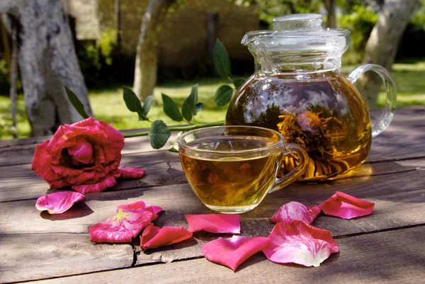 Teapot with Chinese tea — Stock Photo, Image