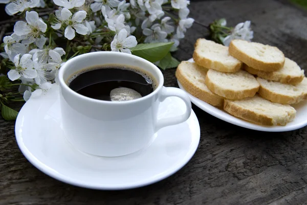 Kopje koffie en witte bloemen — Stockfoto