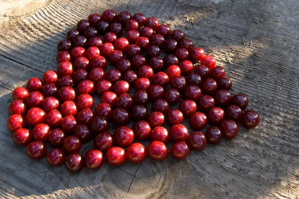 Cerezas rojas — Foto de Stock