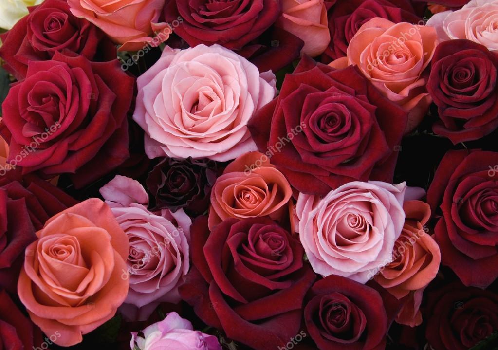 depositphotos_82007068-stock-photo-different-colors-of-roses.jpg