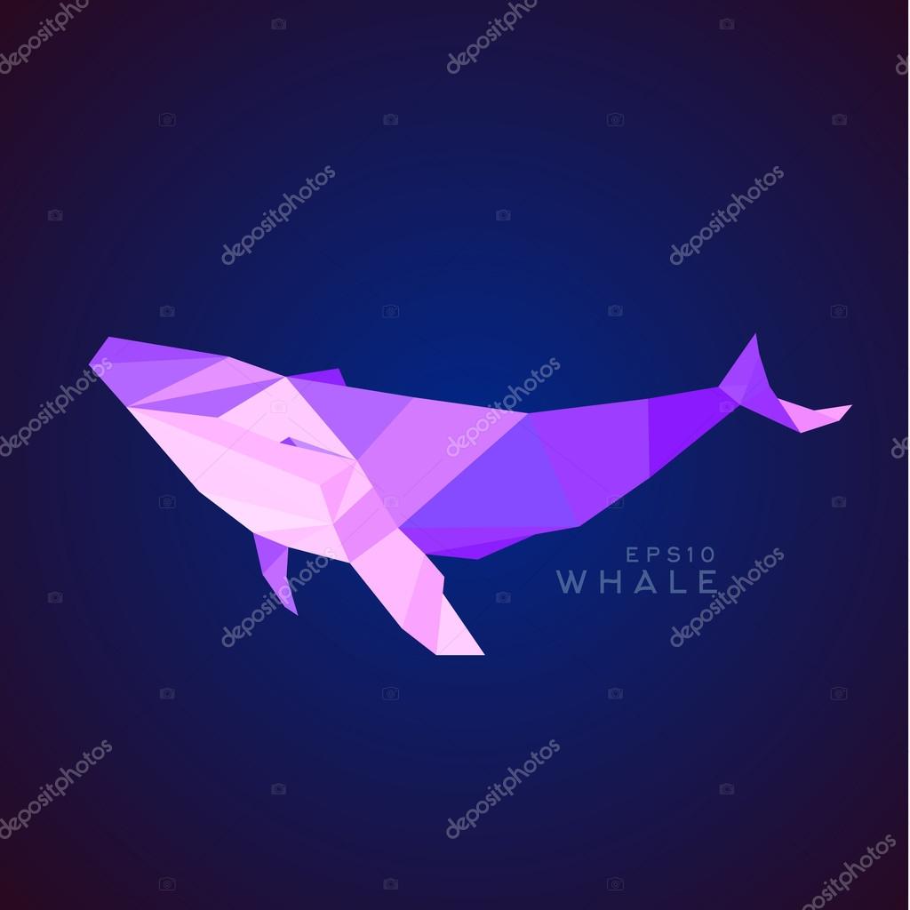 Whale Lowe roles polygons, vector illustration, logos