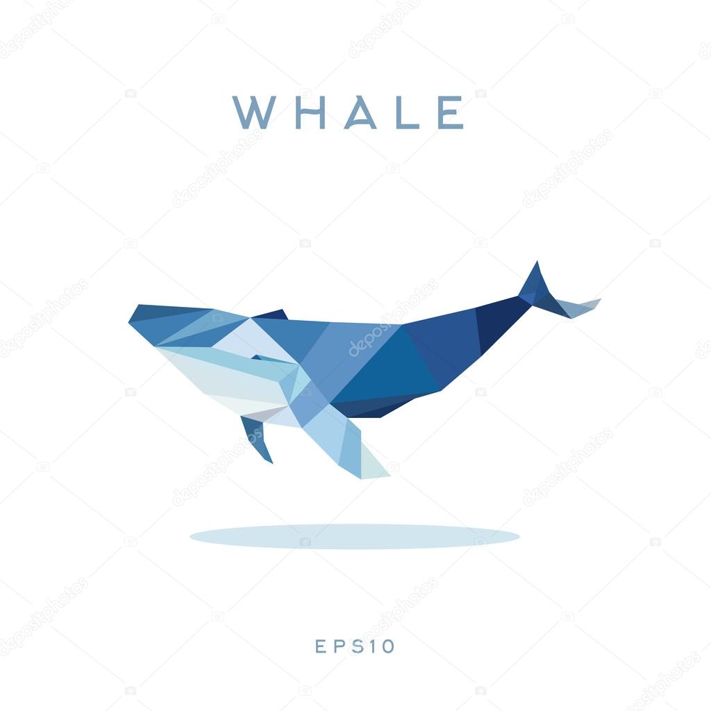 Whale Lowe roles polygons, vector illustration, logo
