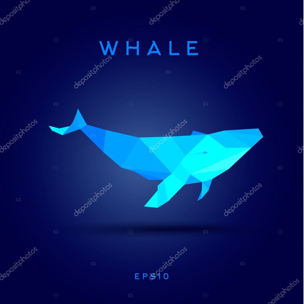 Whale Lowe roles polygons, vector illustration, logos