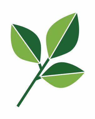 Beyaz arkaplanda yeşil yaprak simgesi