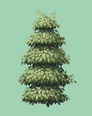 Vektör çam ağacı. El çizimi Noel çam kozalakları