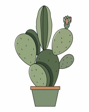 Beyaz arkaplan vektör illüstrasyonuna yeşil kaktüs