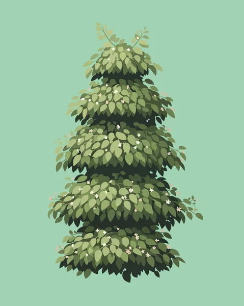 Vektör çam ağacı. El çizimi Noel çam kozalakları