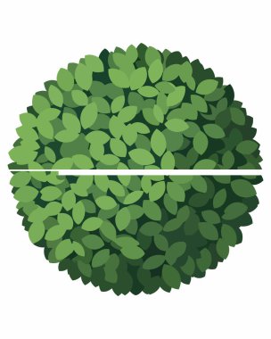 izole yeşil yaprak tasarımı