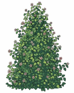 Bir ağacın el çizimi çizimi