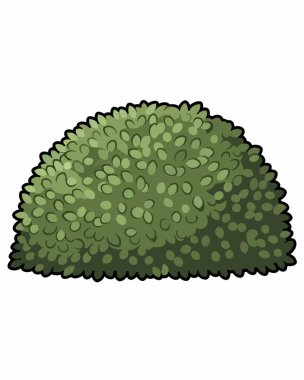 çizgi ağaç çalısı, vektör