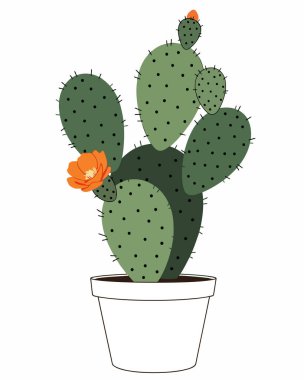 Tencerede güzel bir kaktüs. vektör.