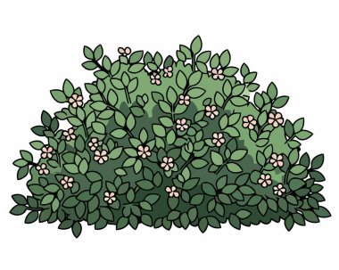 Çiçek deseninin vektör çizimi