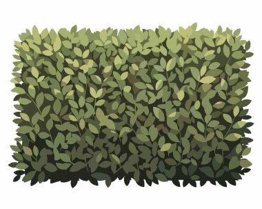 Beyaz arkaplanda yalıtılmış çalılık, vektör illüstrasyonu