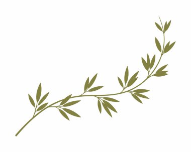 Beyaz arkaplan vektör illüstrasyon tasarımında yeşil yapraklı dal