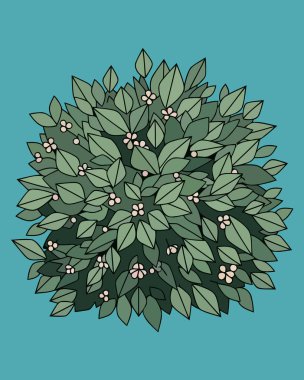 Zarif sarı çiçekler ve küçük kırmızı böğürtlenlerin yer aldığı yemyeşil bir çalılığın ayrıntılı çizimi. Bahçe tasarımı, botanik markalaşma ve doğa temalı grafikler için mükemmel. Bugün profesyonel yaratıcı projeler için yüksek kaliteli bir bitki.!