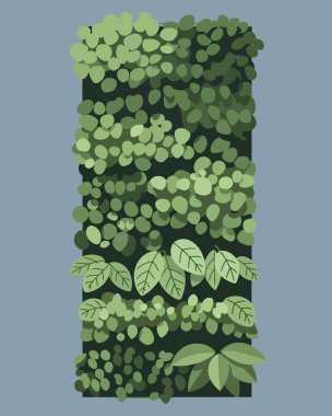 Böğürtlen ve dallarla yeşil yapraklar