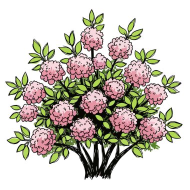 Bu büyüleyici vektör çizimi, parlak yeşil yapraklı, koyu, kalın gövdeli, bahçe tasarım elementleri için mükemmel olan yoğun pembe bir ortanca çalısını tasvir ediyor..