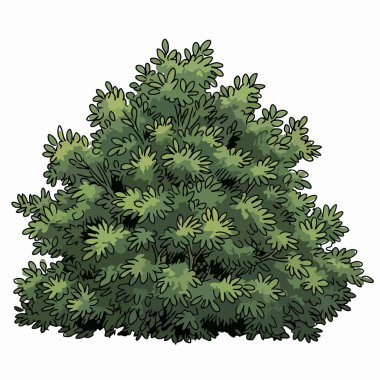 Bu detaylı vektör grafik illüstrasyonunda, doğal temalı tasarımlar ve eğitim materyalleri için ideal bol yeşillik ve organik büyüme içeren gür yeşil bir bahçe çalılığı veya çalılığı sergilenmektedir..