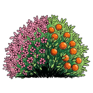 Bu canlı vektör grafiği verimli yeşil yapraklar, parlak pembe çiçekler ve bahçecilik kavramları için mükemmel olgunlaşmış turuncu turuncu turunçgil meyvelerinin yer aldığı yoğun bir çalılığı gösteriyor..