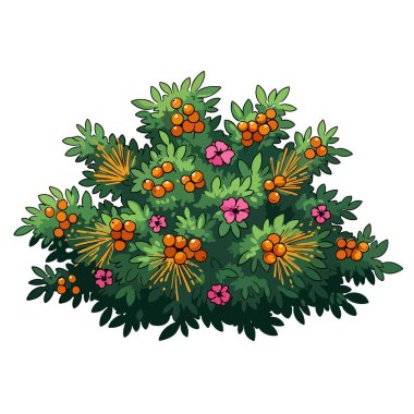 Parlak turuncu böğürtlen ve narin pembe çiçeklerle süslenmiş, beyaz bir arka plan üzerine kurulmuş, botanik tasarımlar için mükemmel bir yeşil çalı..