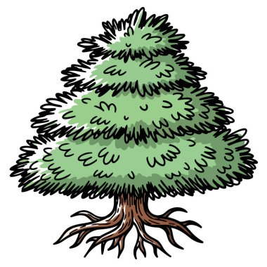 Detaylı bir gövde ve görünür kök sistemine sahip, yemyeşil kozalaklı bir ağacın, beyaz bir arkaplana karşı hazırlanmış büyüleyici, el çizimi bir çizimi..