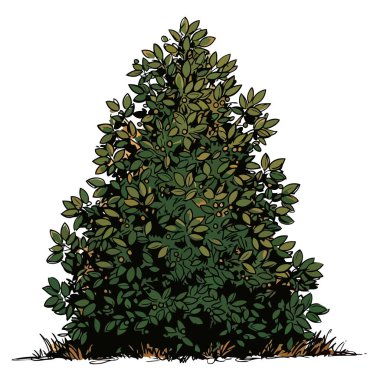 Detaylı yeşillik ve küçük böğürtlenler içeren gür yeşil bahçe çalı çizimi çizimi, doğal manzara tasarımları, botanik temalı projeler ve çeşitli yaratıcı tasarım varlıkları için mükemmel.