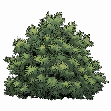 Tarz tasarımı projeleri için uygun yoğun yeşil yapraklı çalı vektör çizimi stilize edilmiş bir formatta izole edilmiş doğal bitki elementlerine ihtiyaç duyar.
