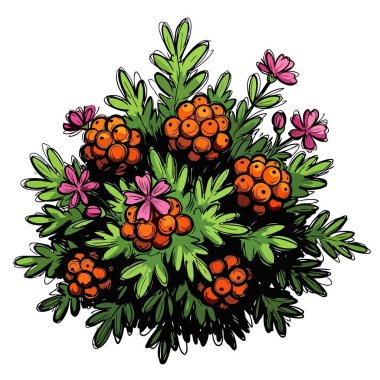 Cloudberry bitki vektörü, olgun turuncu meyveleri gösteriyor. Detaylı yeşil yapraklar ve küçük pembe çiçeklerle çevrili. Doğal tasarım elementleri için mükemmel..