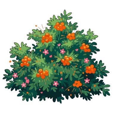 Parlak turuncu böğürtlen ve pembe çiçeklerle bezenmiş yeşil bir çalı, temiz beyaz bir arka planda sunuluyor, botanik ve doğa temalı tasarımlar için mükemmel..