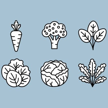 Lahana ve brokoli vektör kümesi.