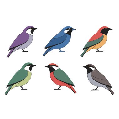 kuş koleksiyonu vektörü.