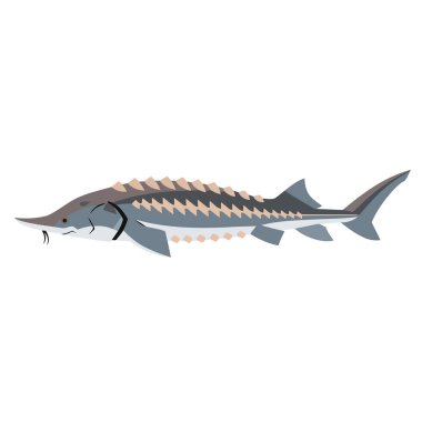 vektör izole balık simgesi