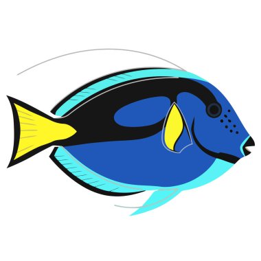 Sarı balıklı mavi deniz kestanesi. Deniz hayvanı. Deniz yaşamı. deniz hayvanları.