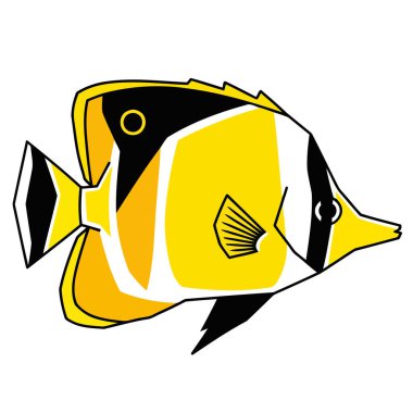 balık vektör çizimi beyaz arkaplanda izole edildi