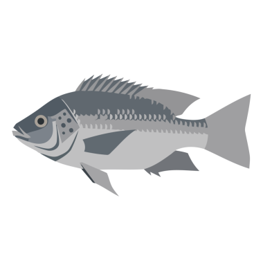 Balık simgesinin vektör illüstrasyonu