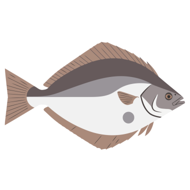 Çizgi film balığının vektör çizimi