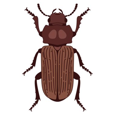 Böceği böcek vektör çizim.