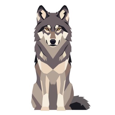 Ormandaki kurt. Karda kurt var. Kurt kurt.