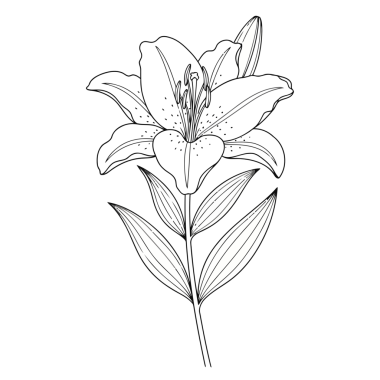 Dekorasyon için sessiz, çağdaş bir renk şeması kullanarak dört biçimlendirilmiş çiçeğin soyut vektör çizimi.